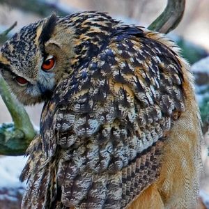 Meet your Posher, Jewel A.